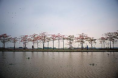 迪士尼漫威将于9月9日举行游戏展示会直播